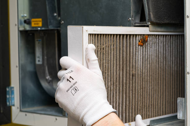 Best Best Air Duct Cleaning Company  in Ara, AL